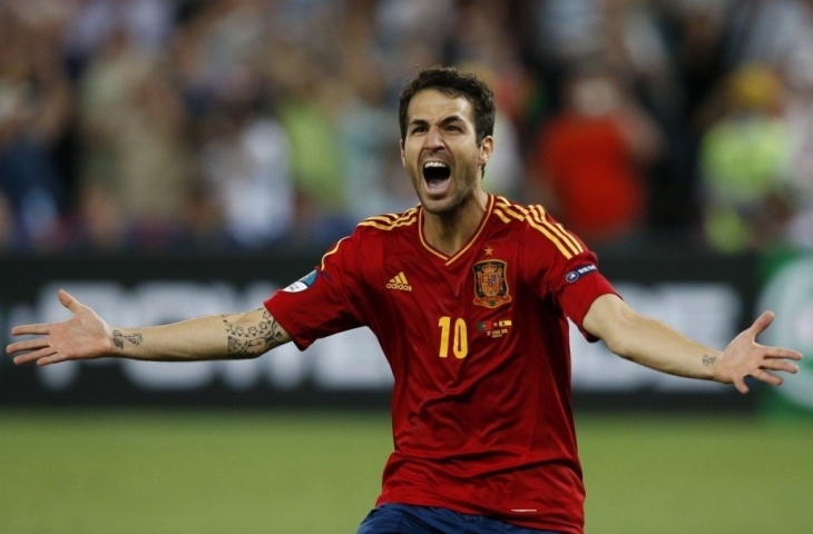 Fabregas saat berseragam Timnas Spanyol. (Sumber: Dok. fcnaija.com).