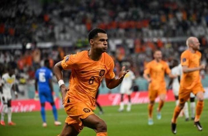 Selebrasi Cody Gakpo usai cetak gol saat Belanda kalahkan Senegal 2-0 di Piala Dunia 2022. (AFP)