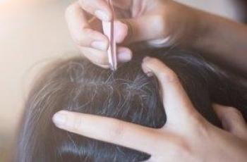 5 Cara Menghilangkan Kutu Rambut, Dijamin Ampuh